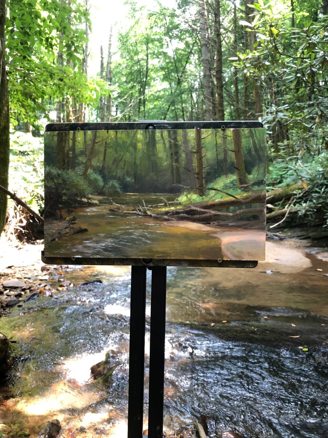 jeremy sams pintura acrilico naturaleza realismo 3