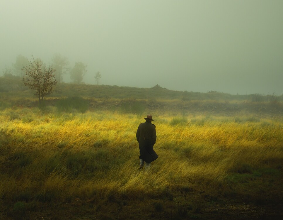 mistyfields