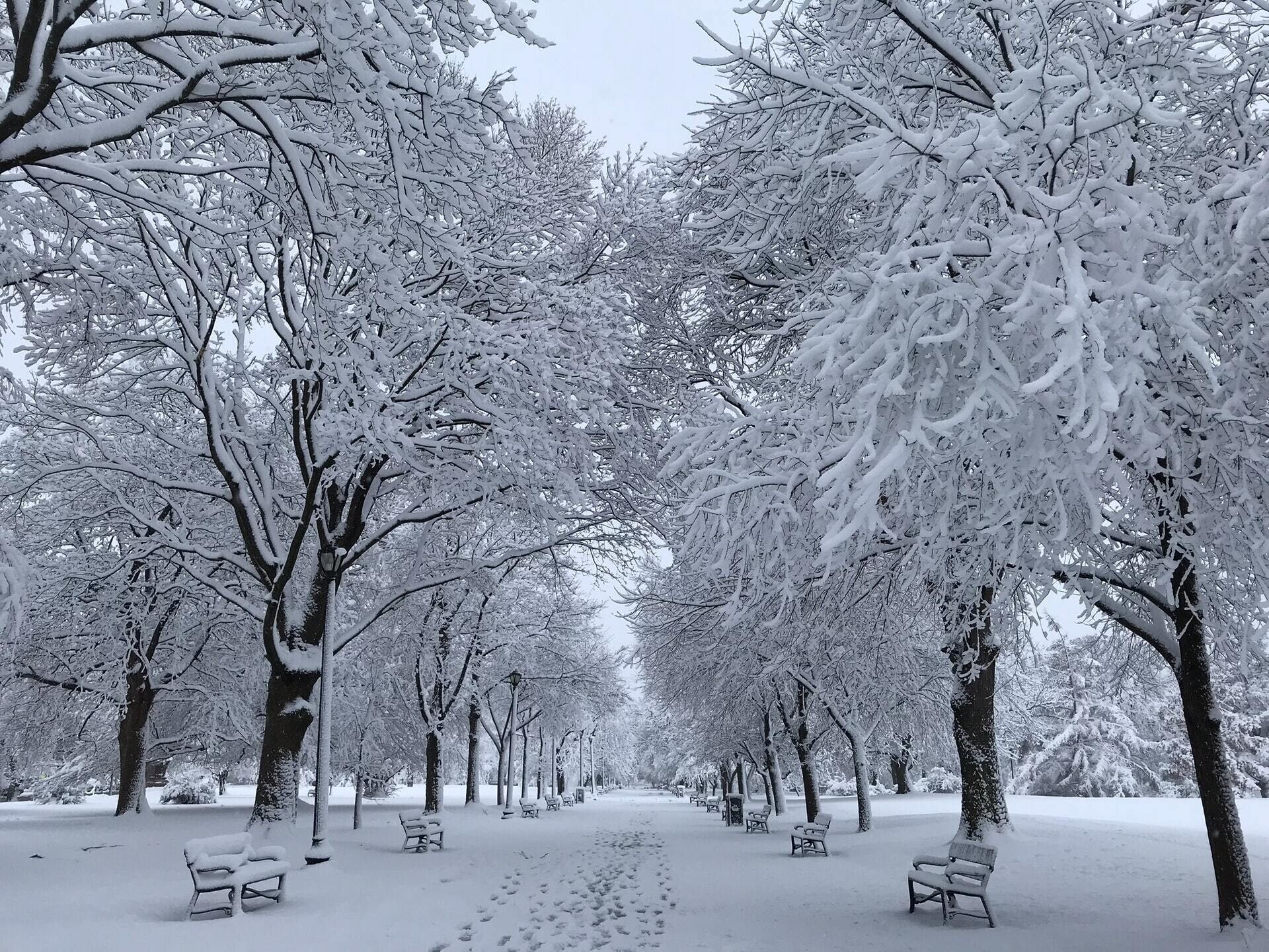 paisaje nevado anna z