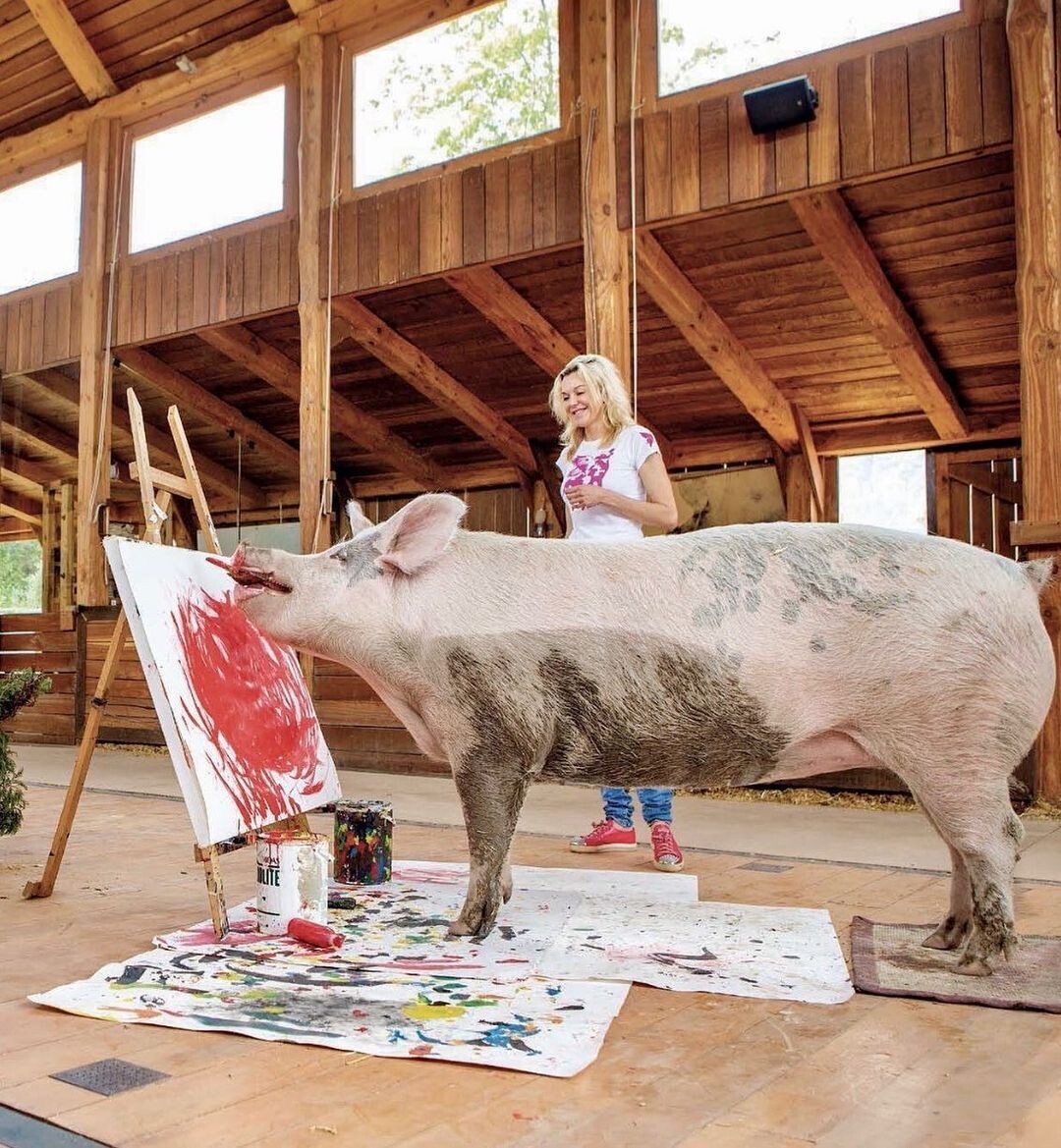 pigcasso trabajo en equipo con joanne lefson