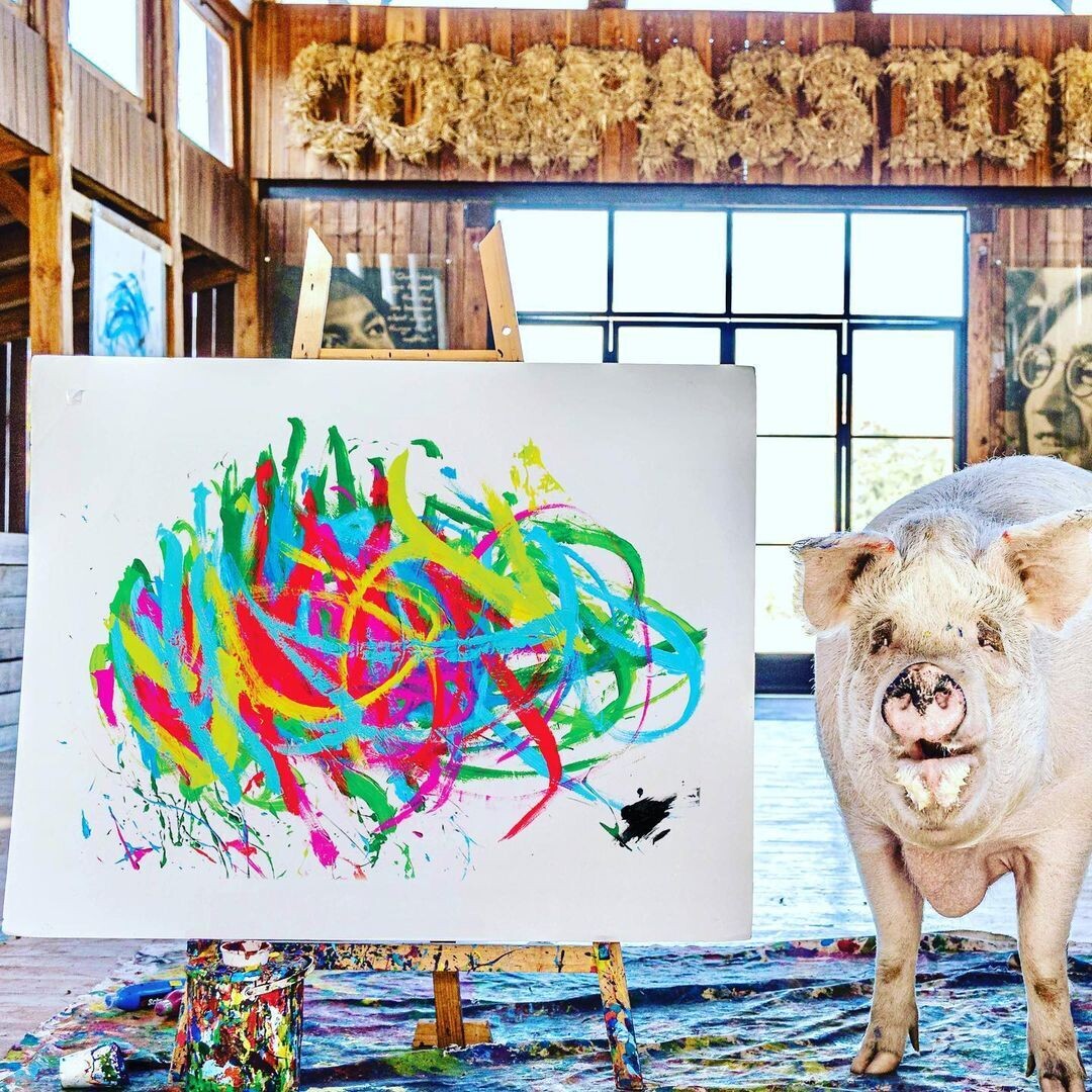 piggcaso artista cerdo cultura inquieta