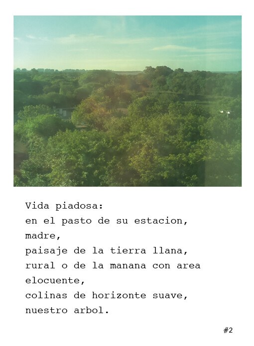 Cámara Poética, la primera cámara fotográfica del mundo capaz de crear poesía.