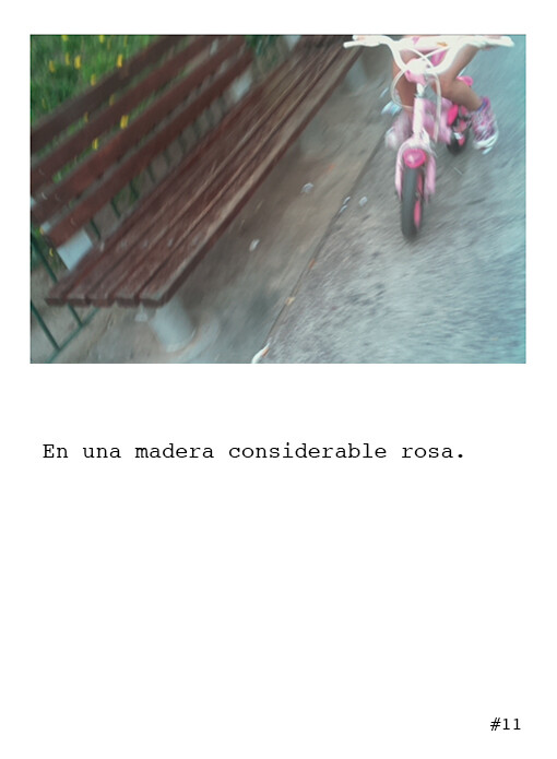 Cámara Poética, la primera cámara fotográfica del mundo capaz de crear poesía.