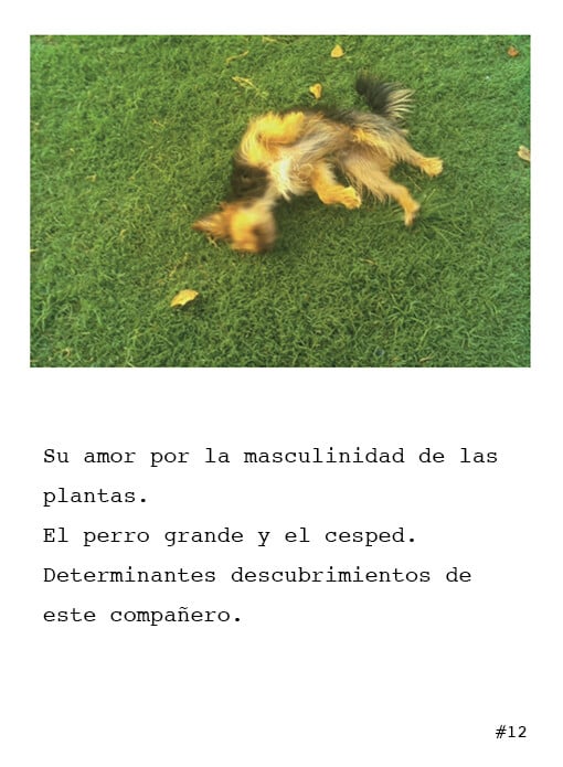 Cámara Poética, la primera cámara fotográfica del mundo capaz de crear poesía.