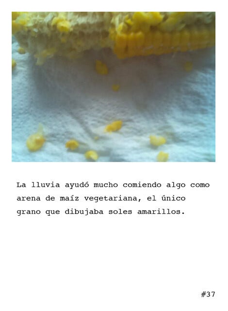 Cámara Poética, la primera cámara fotográfica del mundo capaz de crear poesía.