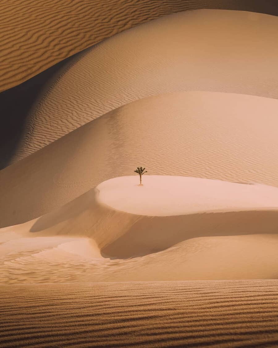 karim amr fotografia desierto egipto 4