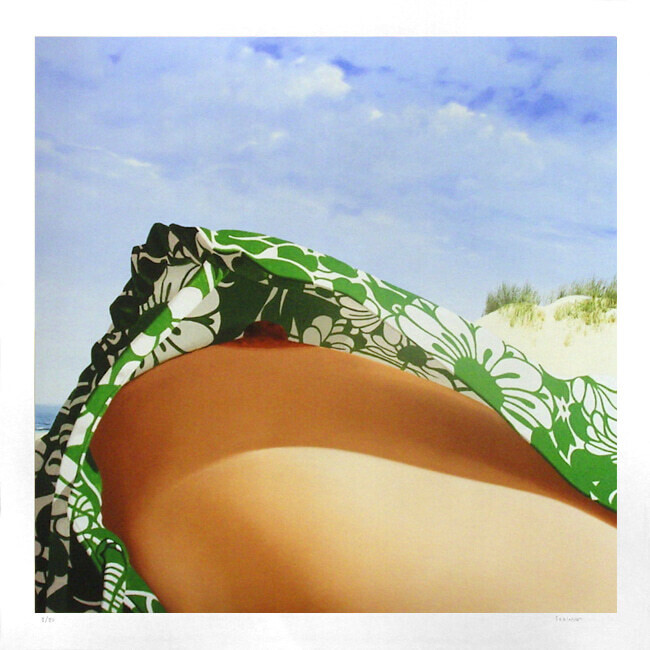 gerard schlosser pintura voyeur cuadro figuracion color collage fotografia la folle blanche 2013