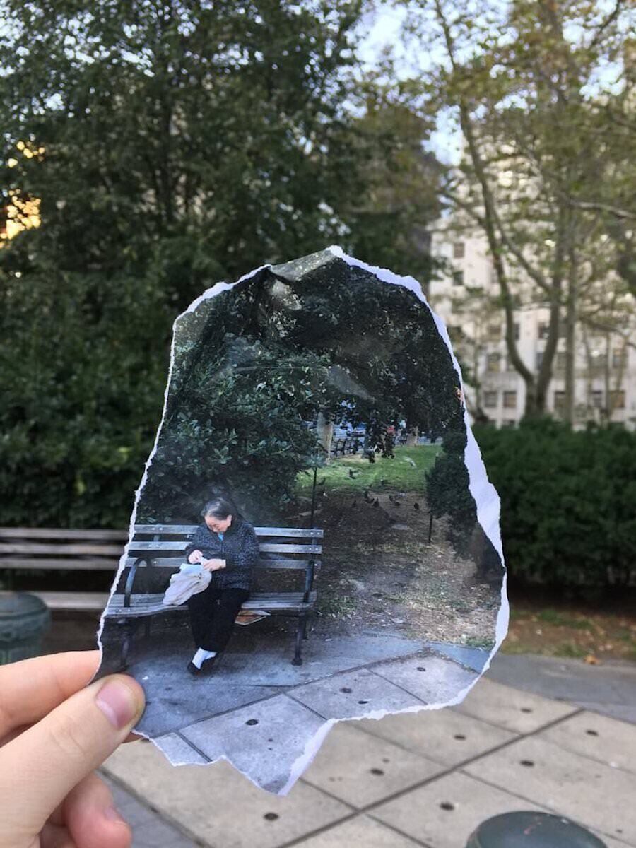 kalen hollomon collage nueva york 12
