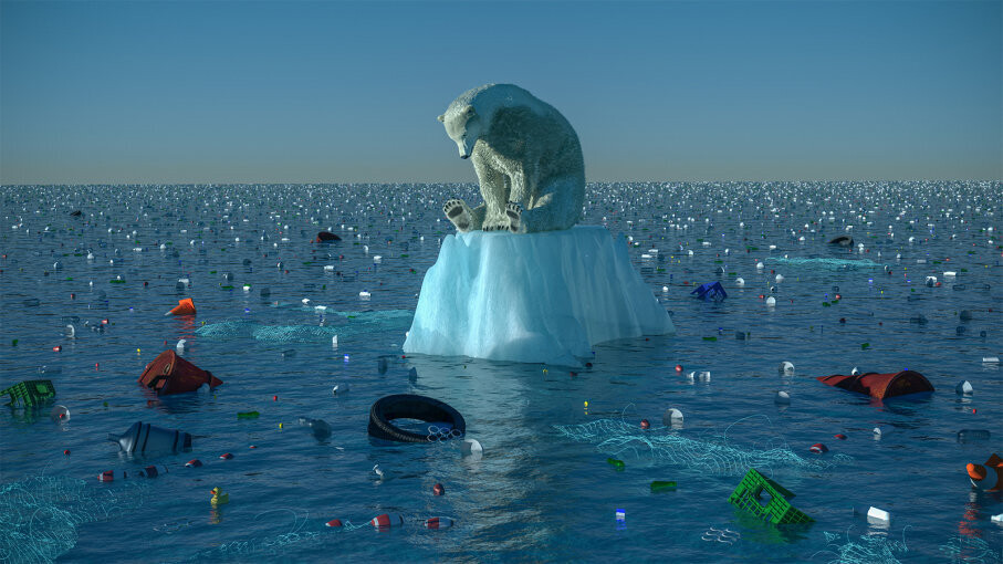 cambio climatico oso