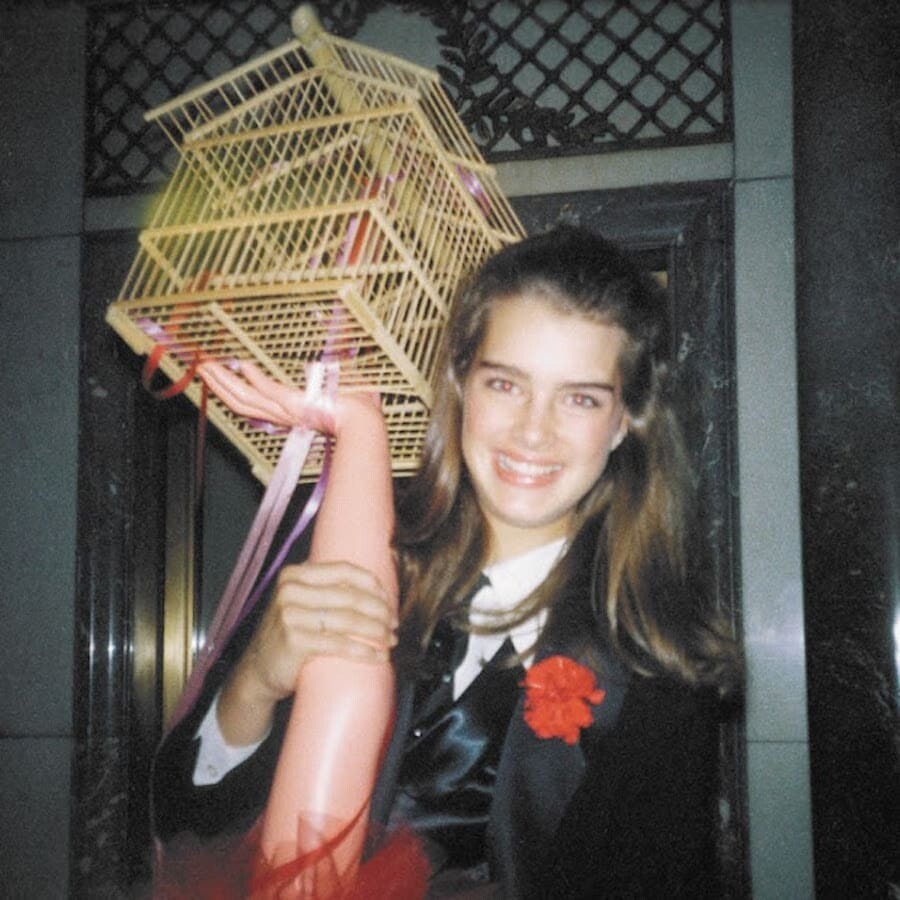 gary lee boas fotografias Brooke Shields