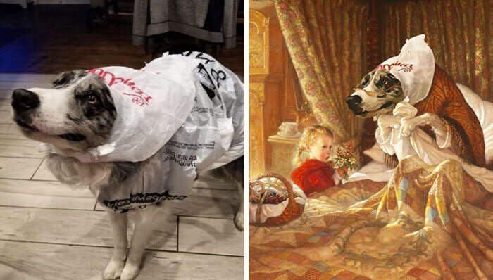 photoshop humor ironia reddit 15