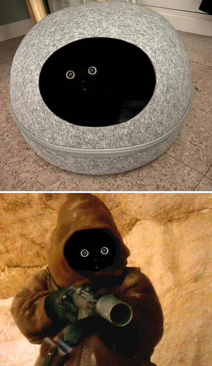 photoshop humor ironia reddit 18