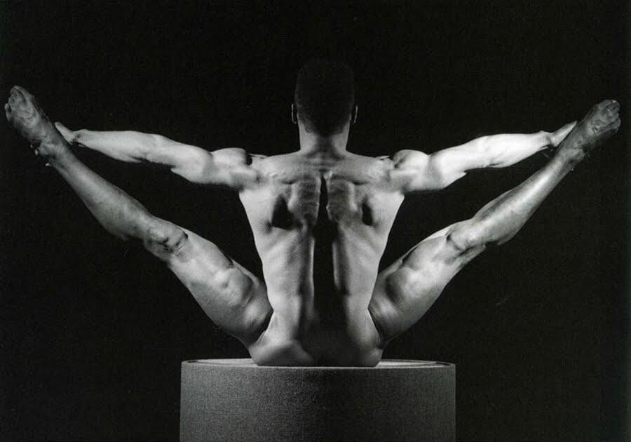 robert mapplethorpe erotismo sexo desnudo anatomia fotografia erotica 2