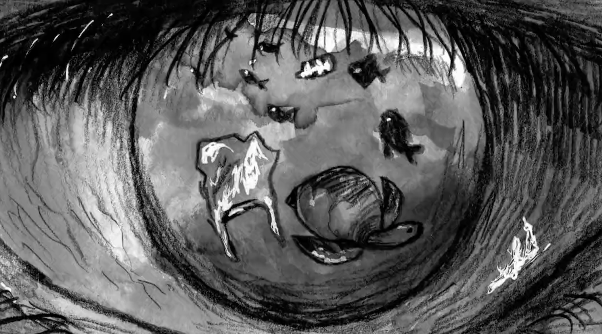 ganadores concurso microcine sostenibilidad iberdrola