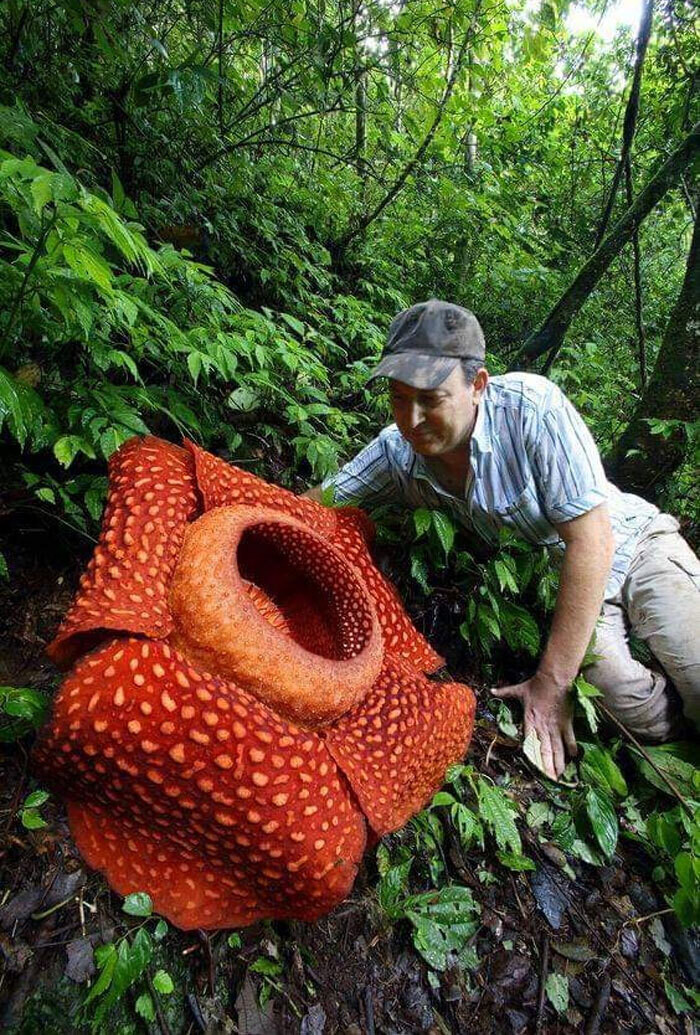naturaleza curiosidad humor 17
