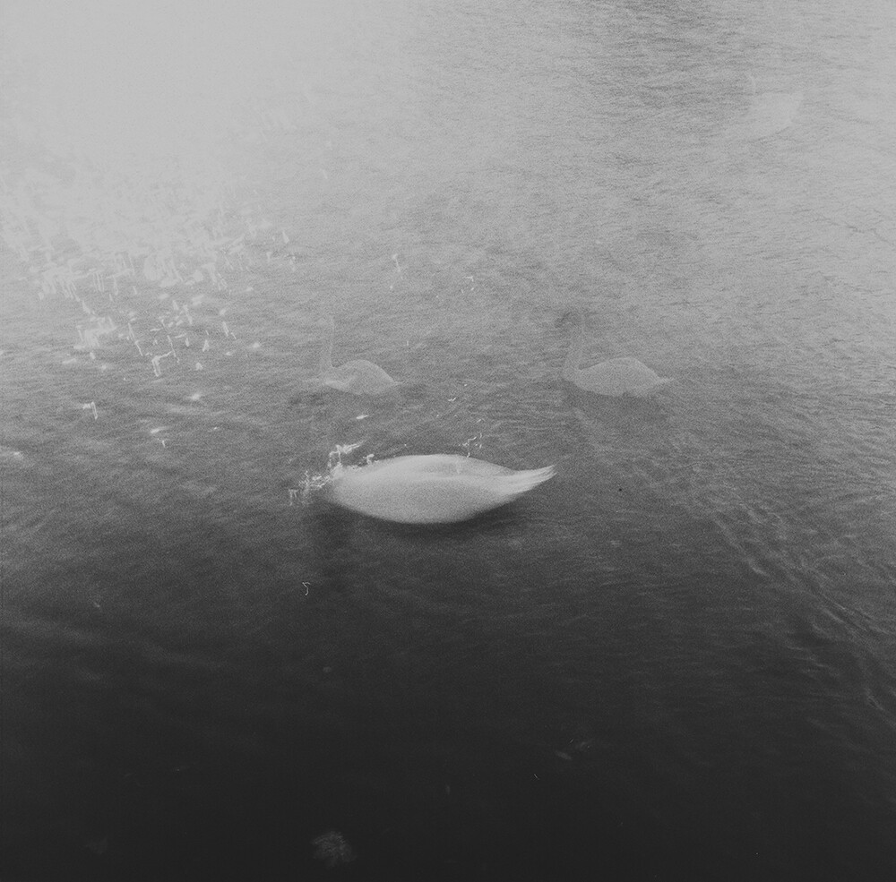 emilia brandao carneiro sentimental journey romanticismo fotografia blanco y negro 2