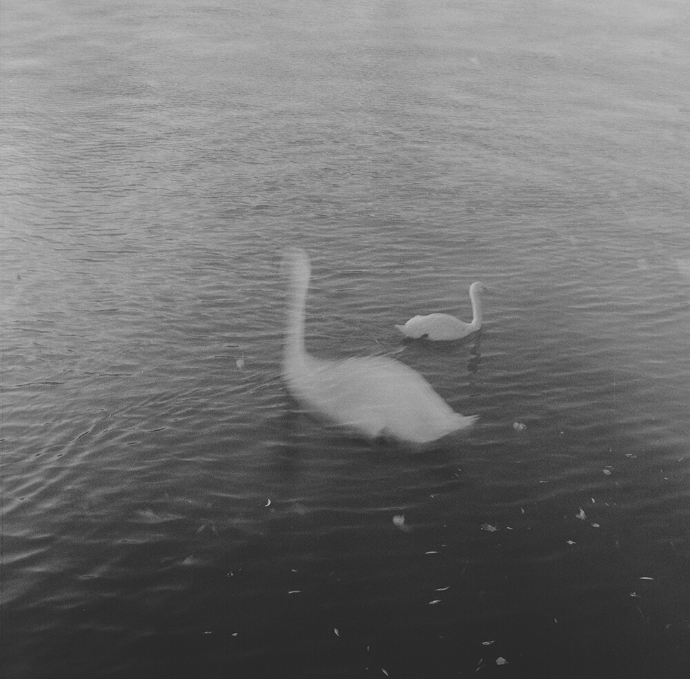 emilia brandao carneiro sentimental journey romanticismo fotografia blanco y negro 4