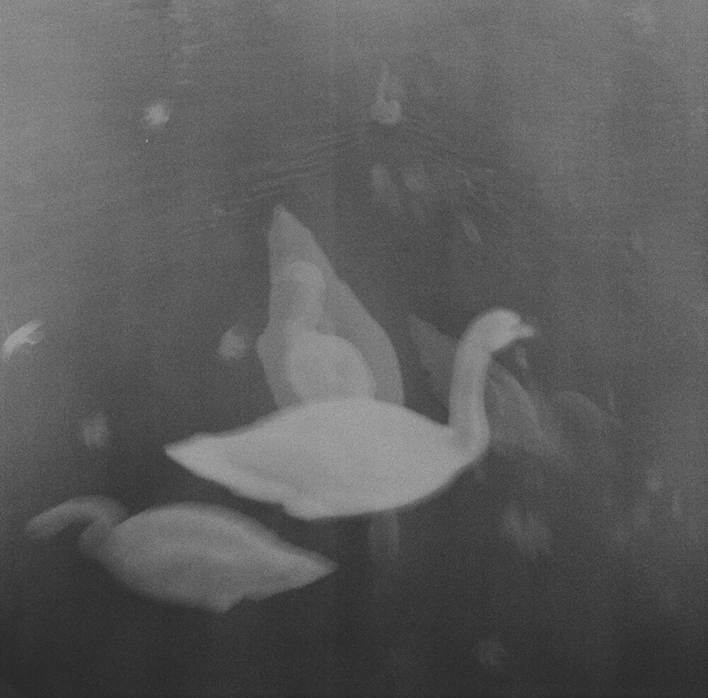 emilia brandao carneiro sentimental journey romanticismo fotografia blanco y negro 6