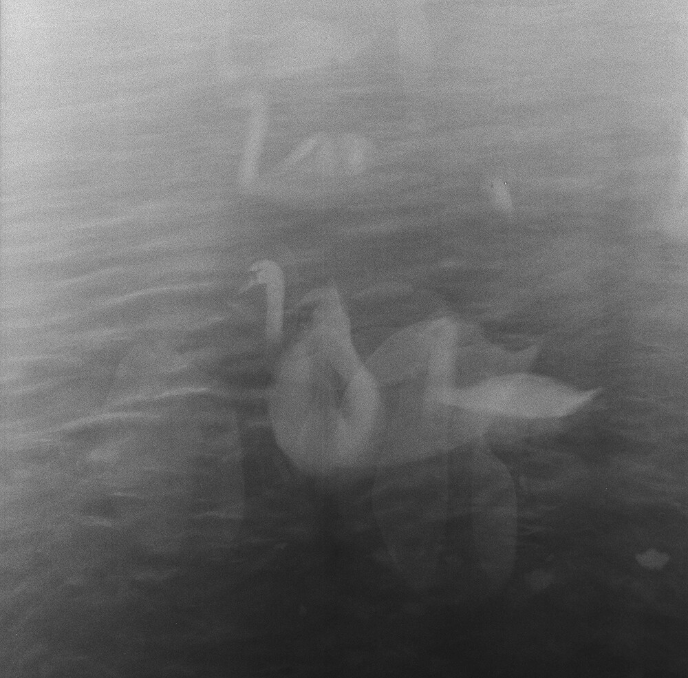 emilia brandao carneiro sentimental journey romanticismo fotografia blanco y negro 7
