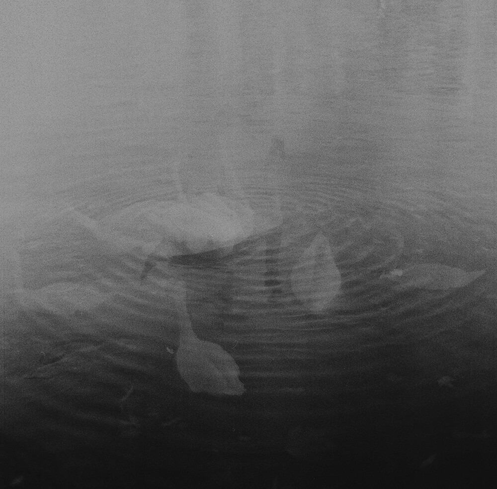 emilia brandao carneiro sentimental journey romanticismo fotografia blanco y negro 9