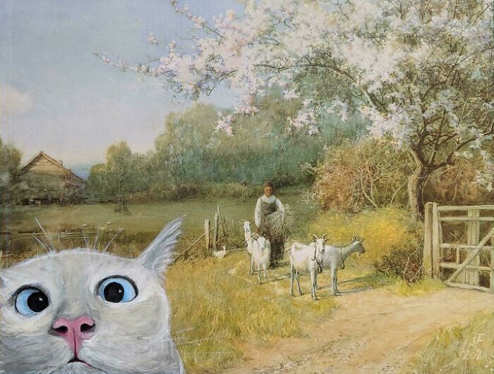 reddit repaintings humor 4