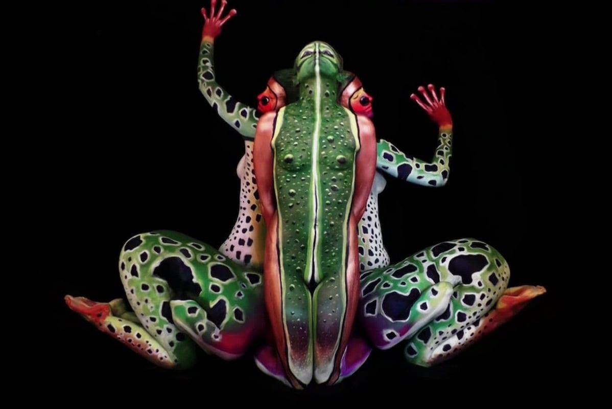 Las camaleónicas e impresionantes artes corporales de Johannes Stötter