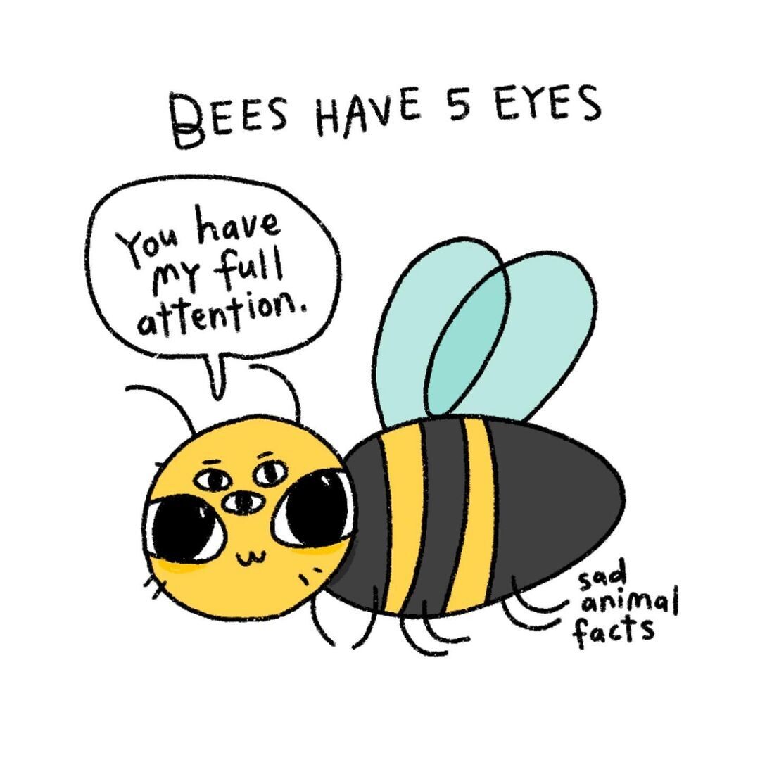 animales ilustracion curiosidades brooke barker 4
