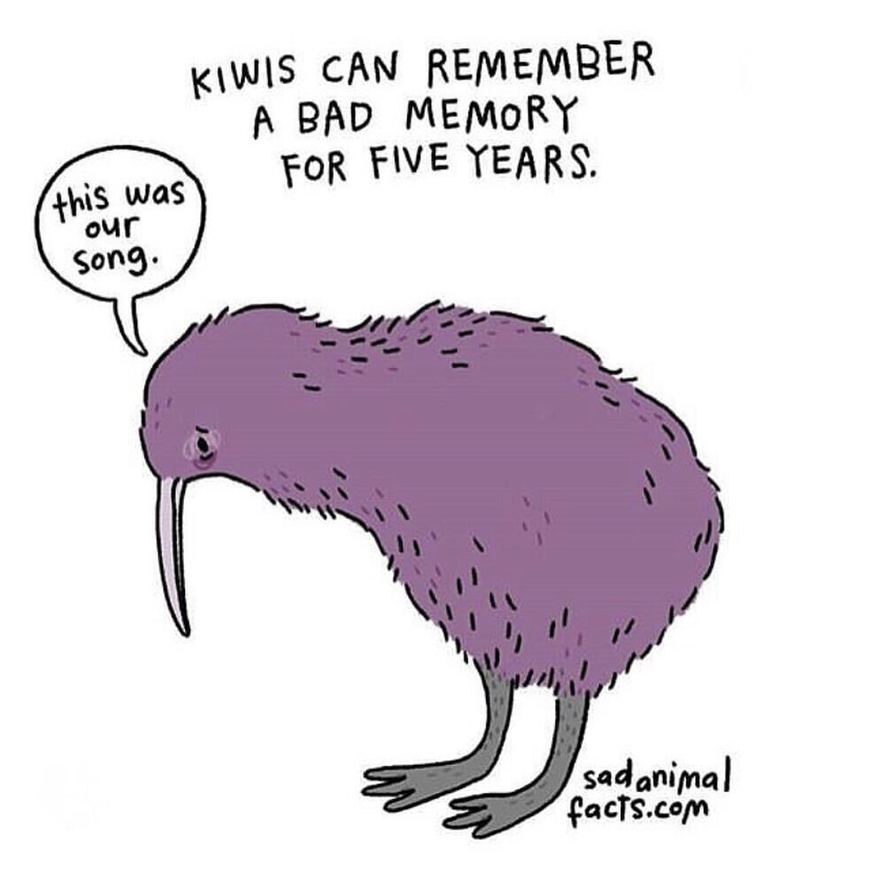 animales ilustracion curiosidades brooke barker 5