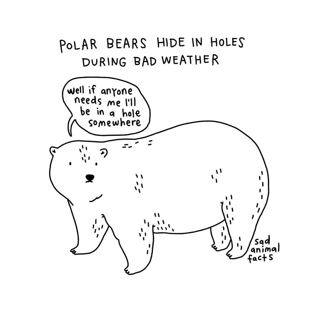 animales ilustracion curiosidades brooke barker 8