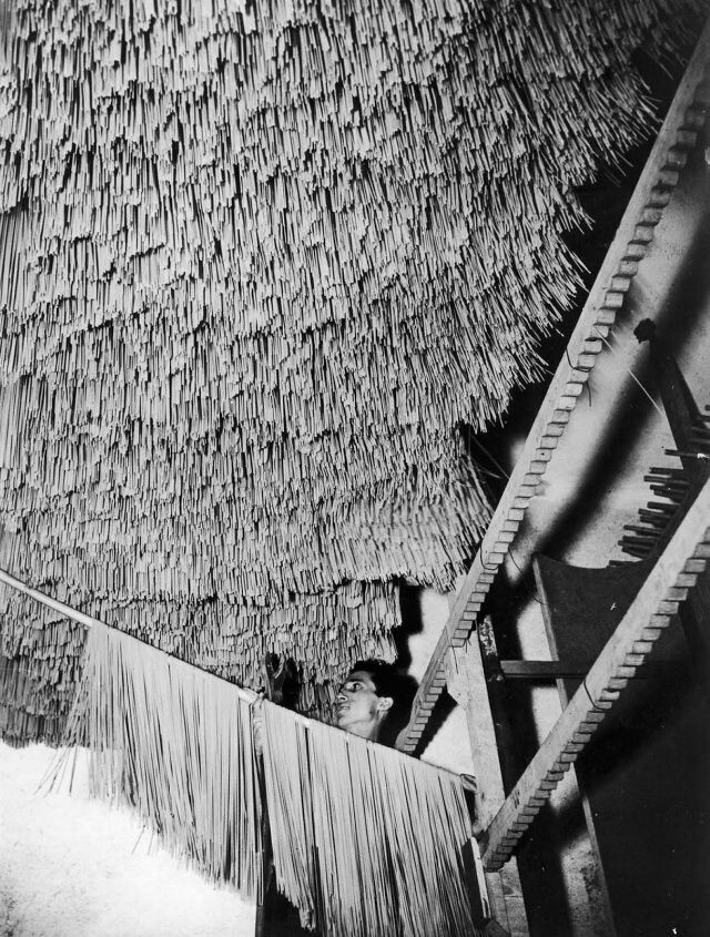 pasta produccion masa fotografias vintage imagenes antiguas creacion 4