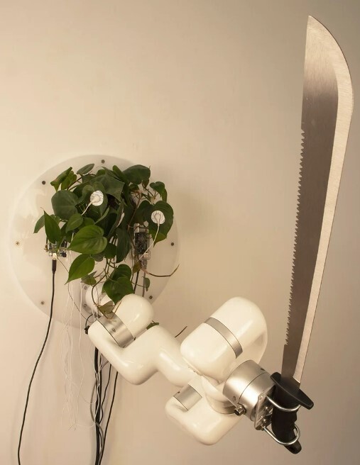 david bowen planta machete inteligencia artificial asesina control robotica instalacion