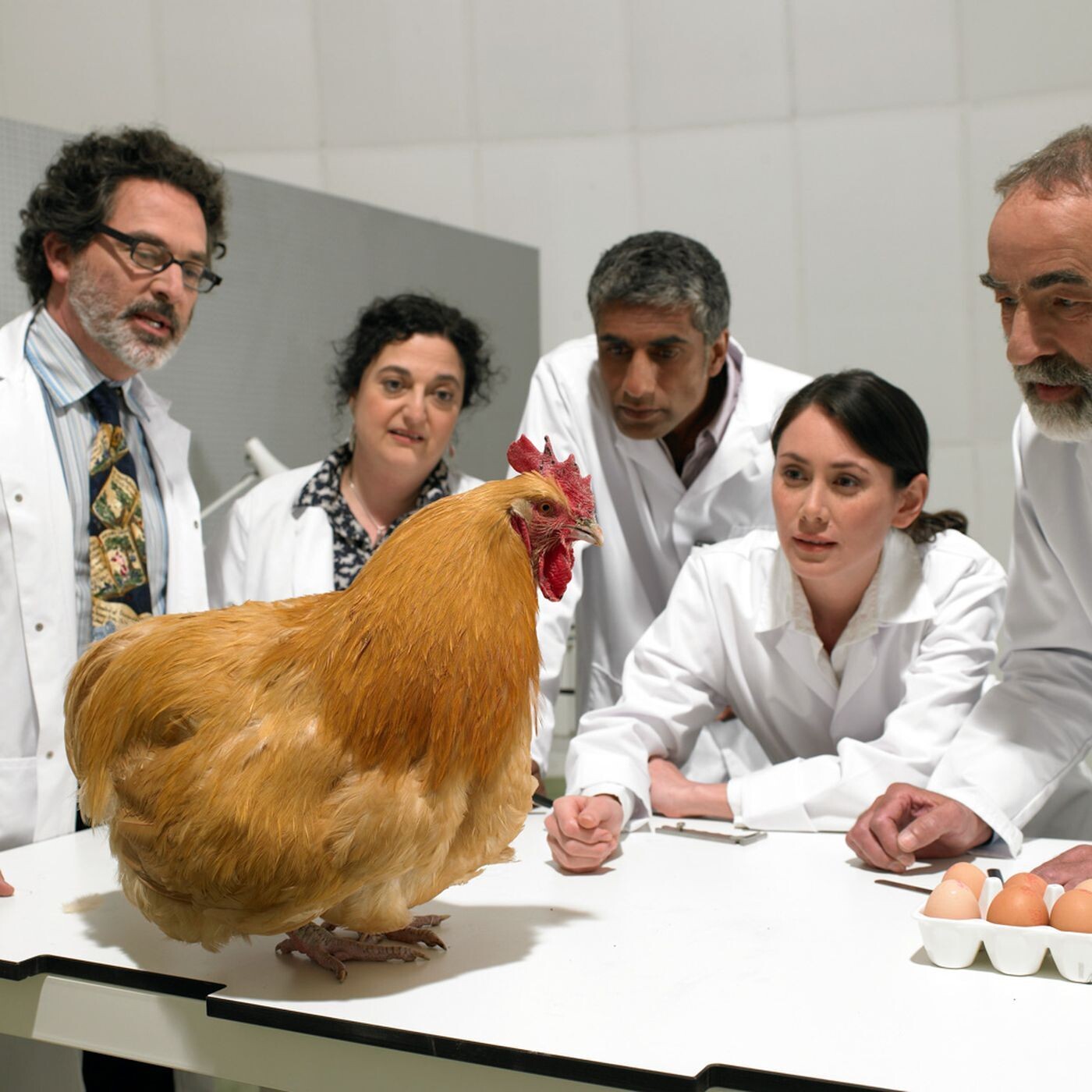 fotografias stock concurso ciencia cientificas imagenes surrealismo peor votacion votos 2
