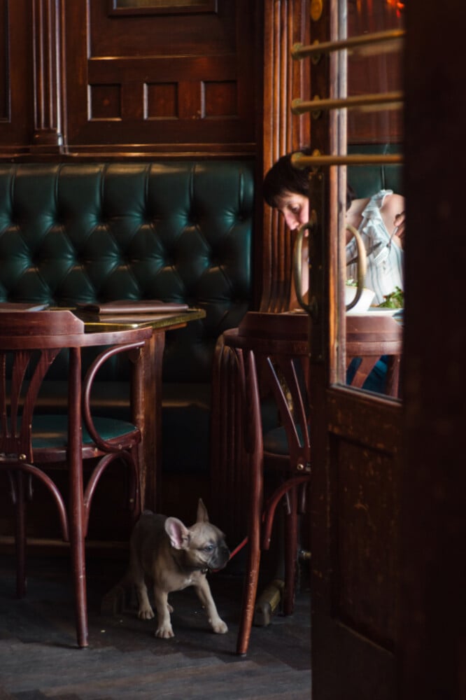 francisc hernández cafés fotografia9