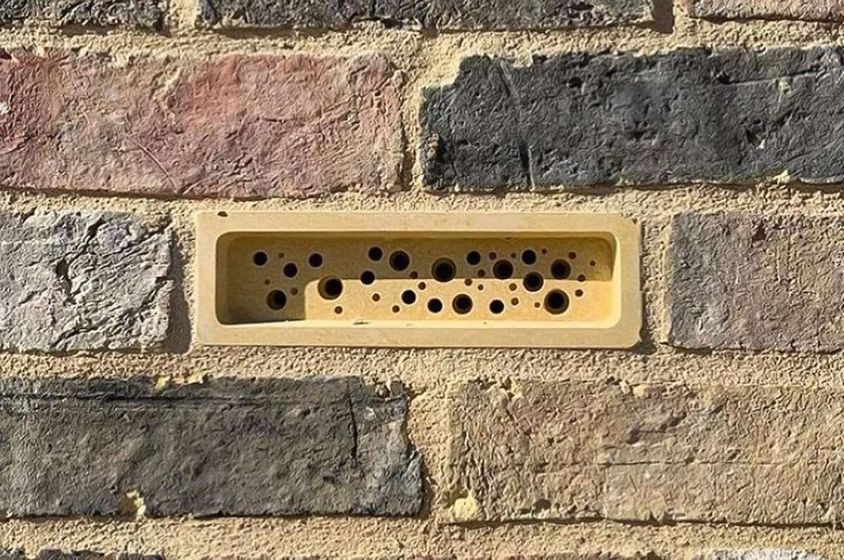 ladrillo abeja solitaria edificio construccion brighton hove ciudad 4