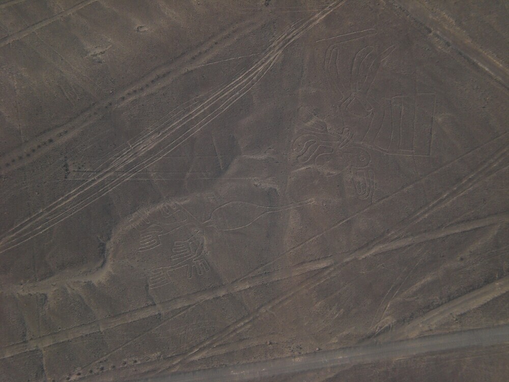 lineas nazca peru geoglifos arte unesco patrimonio humanidad lineas laderas 8