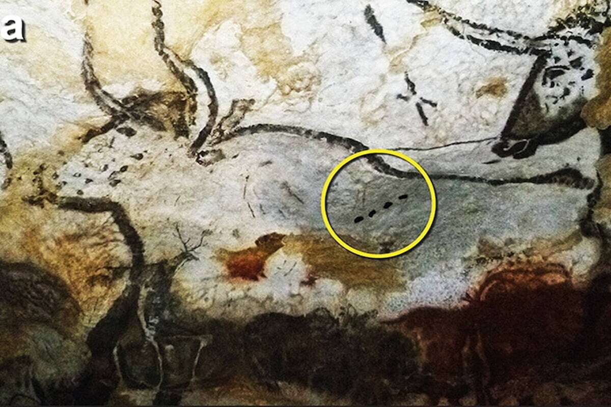 Un restaurador de muebles resuelve un misterio arqueológico de hace 20.000 años