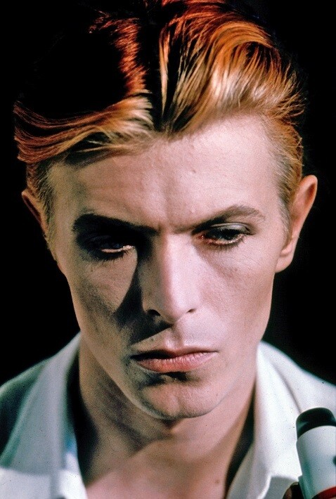 david bowie cultura pop humor 1