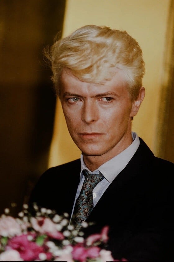 david bowie cultura pop humor 3