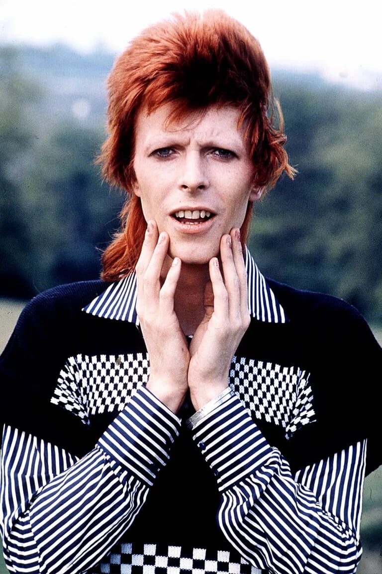 david bowie cultura pop humor 4