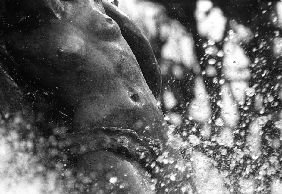 eric sander fotografia escultura erotismo sensualidad 2