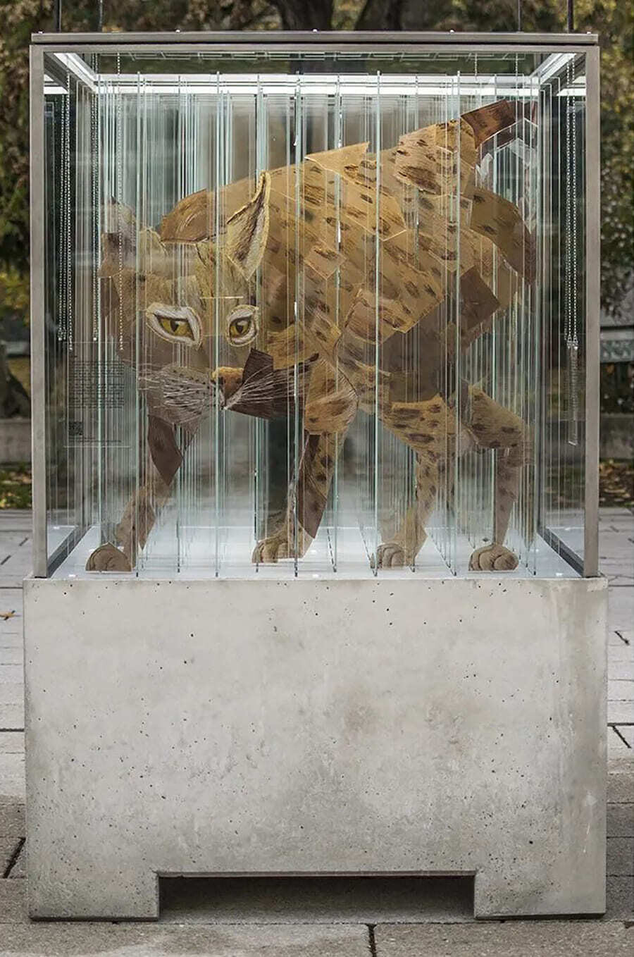 thomas medicus escultura anamorfica animales peligro extincion 11