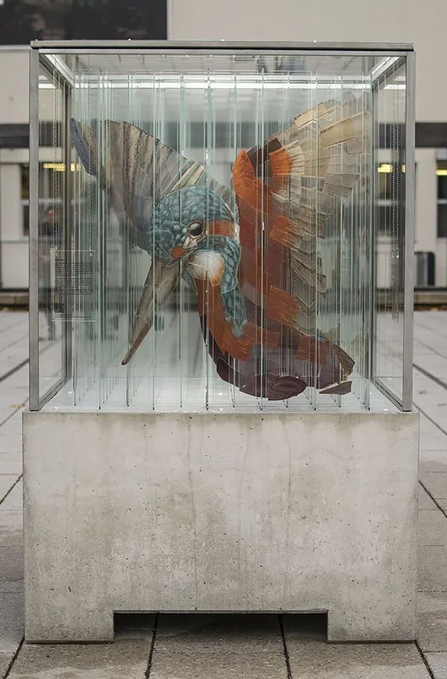 thomas medicus escultura anamorfica animales peligro extincion 8
