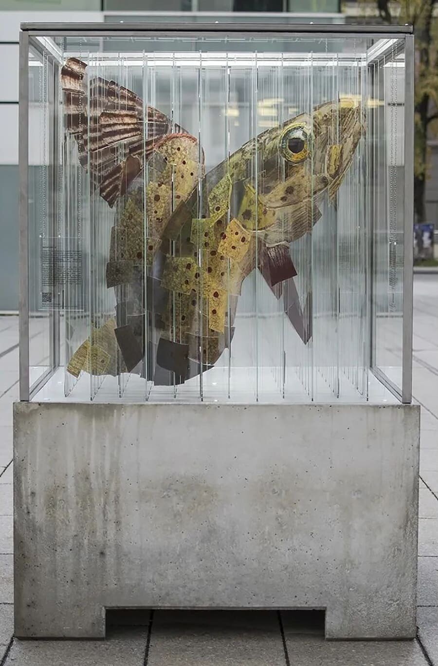 thomas medicus escultura anamorfica animales peligro extincion 9