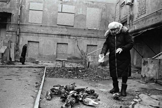 guerra ucrania rusia fotolibro miguel diary of a romantic wartime boy corresponsal fotografia 13