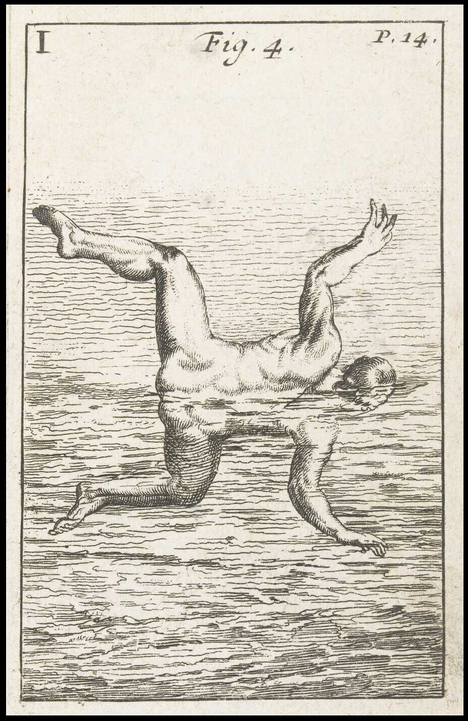 the art of swimming cultura inquieta1