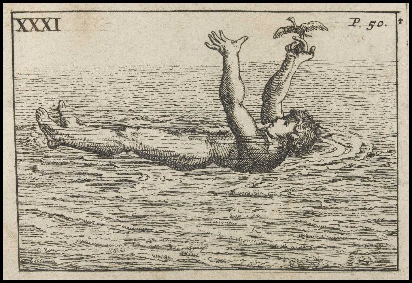 the art of swimming cultura inquieta12