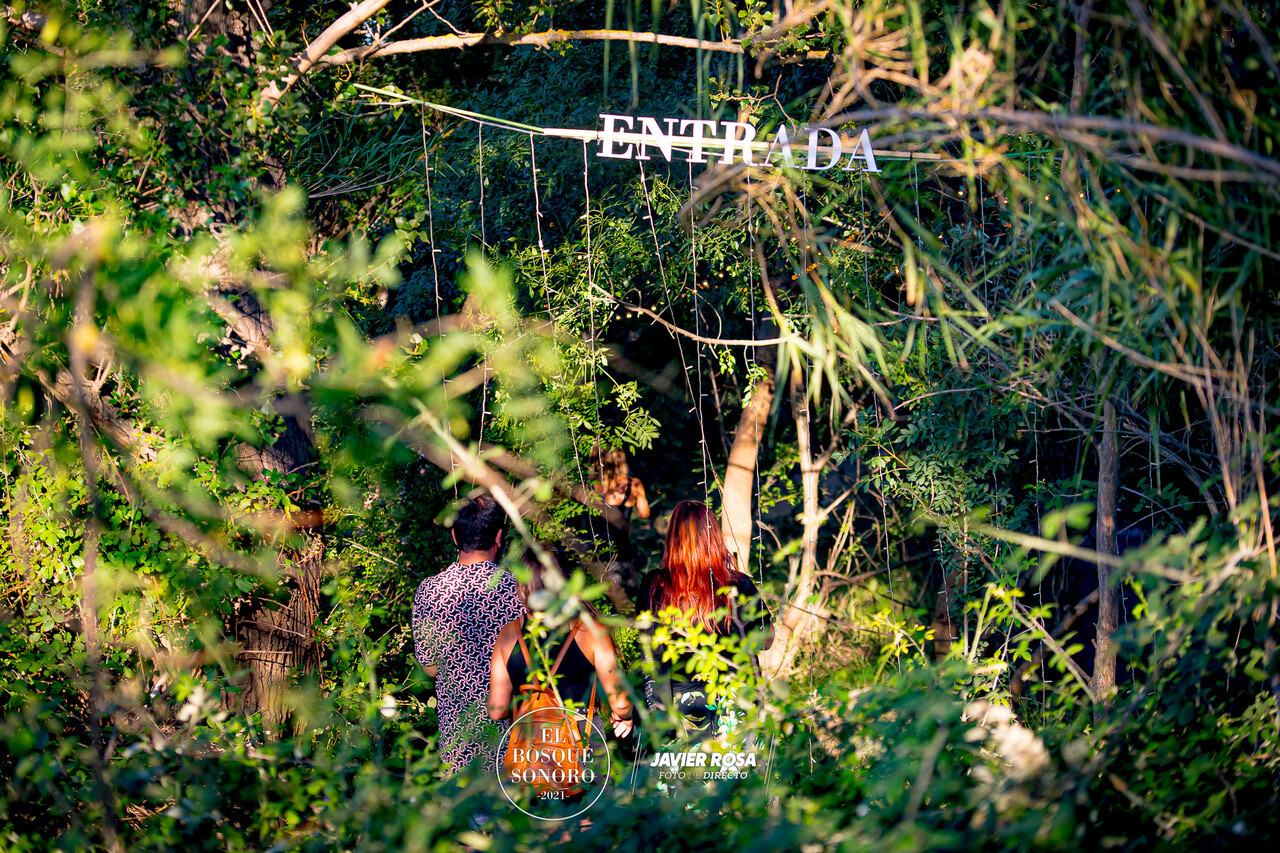 Festival Bosque Sonoro