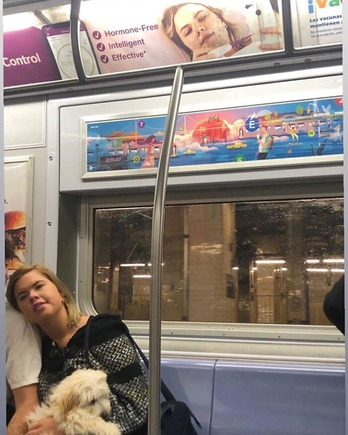 subway creatures redes sociales sociedad nueva york humor 13