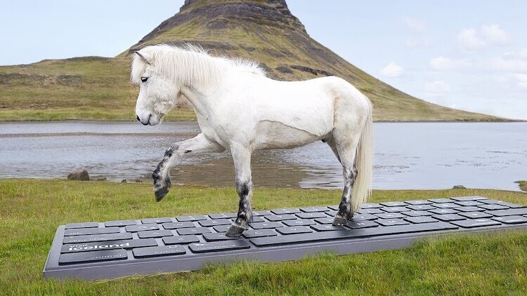 outhorse your email islandia campana turismo caballos correo respuesta teclado gigante