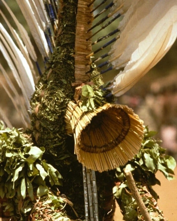 bwa bobo dwo ritual brukina faso africa baile mascaras trajes naturaleza tradicion 3